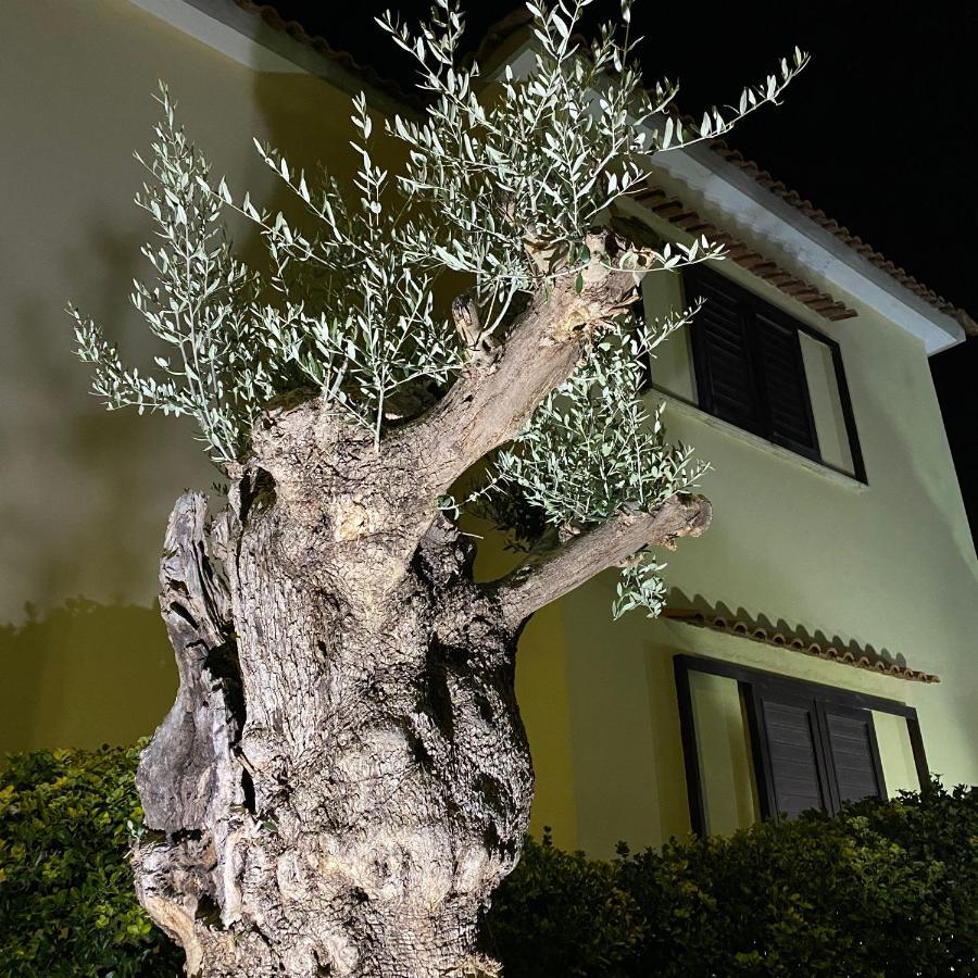 Villa Manzo-Pompei Vesuvius holiday house Boscotrecase Exterior foto